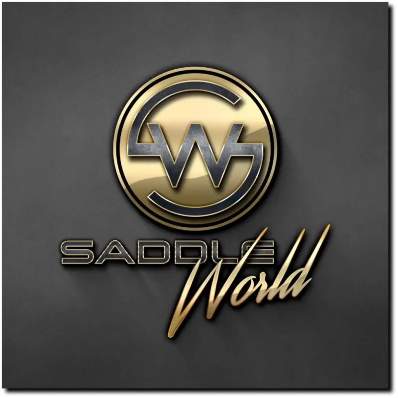 Westernreiter beim Training – SaddleWorld begleitet Reiter und Pferd