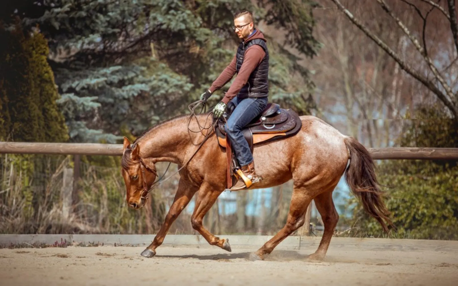 Westernreiter beim Training — SaddleWorld begleitet Reiter und Pferd